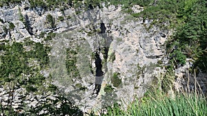 Green nature in the middle of the rocks.