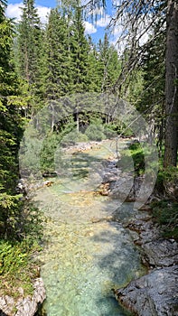 Green nature in the middle of the rocks.