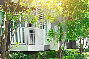 Green nature terrace of condominium apartment for eco good environment of living