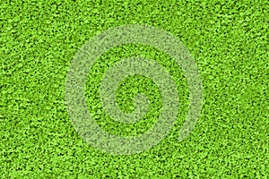 Green nature texture