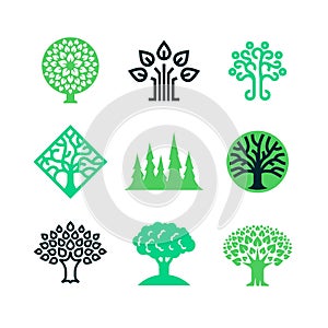 Green nature tree logo. Eco education vector concept