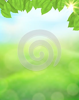 Green nature vertical background with leaves on a blurred background of grass and sky, sunlight and bokeh effect. View with copy