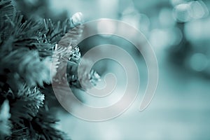 Green needles on spruce, pine branches. Abstract blurred holiday toned background with Bokeh. Selective focus. Winter