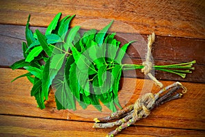 green neem leaves and twig on wooden table,neem twig,ayurvedic neem twig on wood, neem leaves