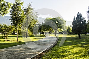 Green Neighborhood Park with a light post and a pedestrian walkway