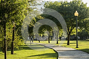 Green Neighborhood Park with a light post and a pedestrian walkway