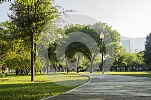 Green Neighborhood Park with a light post and a pedestrian walkway