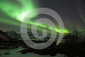Green Northern Light Aurora Borealis in a clear starry night above a Norwegian fjord