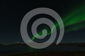 Green Northern Light in Greenland