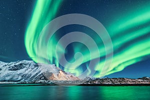 Green northern lights in Lofoten islands, Norway. Aurora borealis