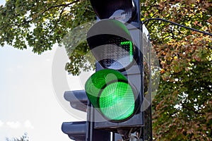 green number seven shown on digital display of traffic light signal. lucky concept. sky and trees at background