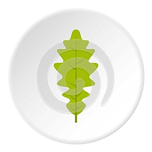 Green oak leaf icon circle