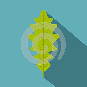 Green oak leaf icon, flat style