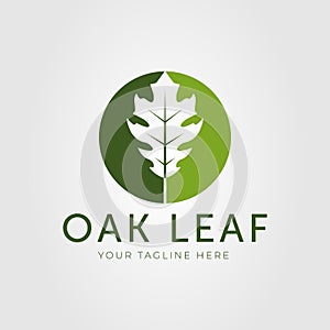 green oak leaf or natural leaves logo vector illustration design