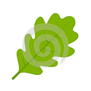 Green oak leaf vector illustration