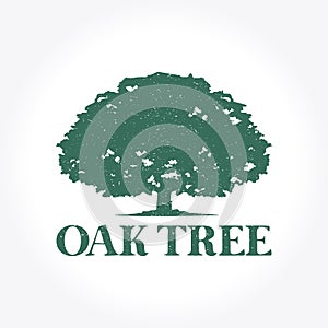 Green Oak Tree