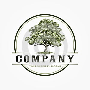 GREEN OAK TREE LOGO