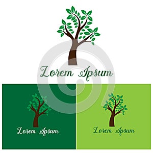 Green Oak Tree Logo