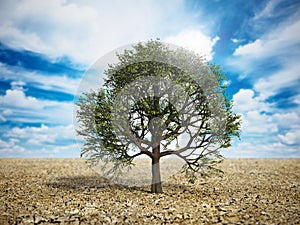 Green oak tree standing in the middle of the desert. Climate change and global warming concept. 3D illustration