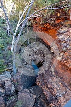 Green oasis in the center of Kings Canyon in Red Center, Australia
