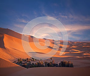 Green oasis over sand dunes in Erg Chebbi of Sahara desert on sunset time in Morocco, North Africa