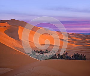 Green oasis with palm trees over sand dunes in Erg Chebbi of Sahara desert on sunset time in Morocco, North Africa