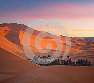 Green oasis with palm trees over sand dunes in Erg Chebbi of Sahara desert on sunset time in Morocco, North Africa