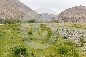 Green Oasis on rocky soil of Altai Mountains Mongolia