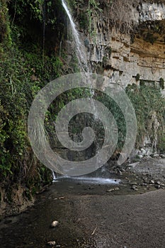 A green oasis with a waterfall and lakes in the Ein Gedi National Park in Israel on the Dead Sea