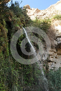 A green oasis with a waterfall and lakes in the Ein Gedi National Park in Israel on the Dead Sea