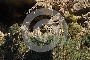 A green oasis with a waterfall and lakes in the Ein Gedi National Park in Israel on the Dead Sea