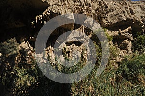 A green oasis with a waterfall and lakes in the Ein Gedi National Park in Israel on the Dead Sea