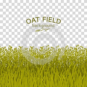 Green oat field on checkered background