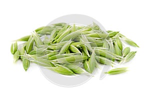 Green oats seeds isolated on a white background. Oat seeds isolated on a white background. Green oat grains isolated on