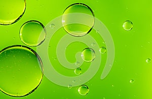 Green oil drops in water. Bubbles of different sizes on green background