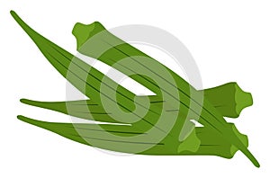 Green okra, illustration, vector