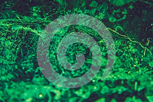 Green old looking brass texture