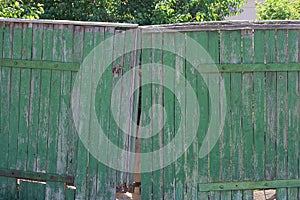 Green old wooden closed gate with broken boards
