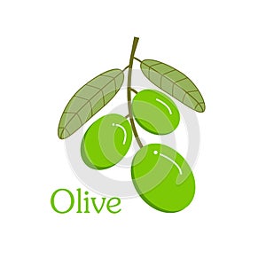 Green olive