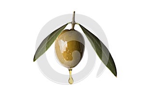 Green olive with a drop of oil falling.