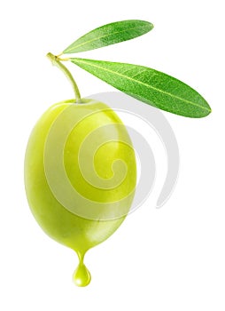 Zelený olivový 