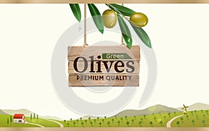 Green olive label with realistic olive branch on green olive farm background. Vector illustration