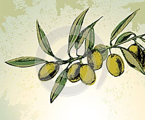 Verde olivos 