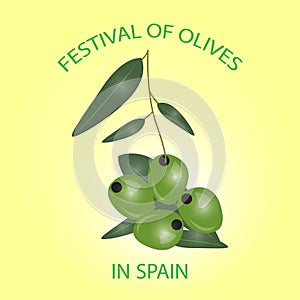 Green olives branch isolated on white background. Design for oli