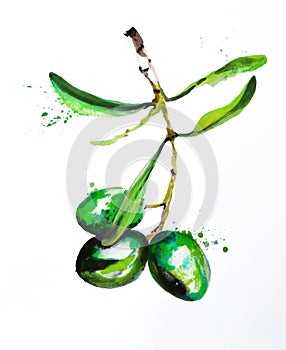 Green olives, branch with leaves, watercolor, hand drawn.