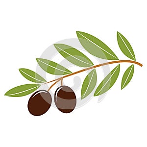 Green olives, branch olives flat icon. Olives oil symbol vector illustration