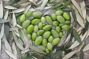 Green olives heart shaped.