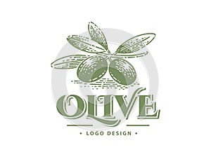 Green olives and organic oil symbols isolated on white background, such a logo template.