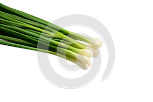 Green Onion