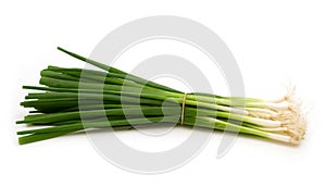 Green onion photo